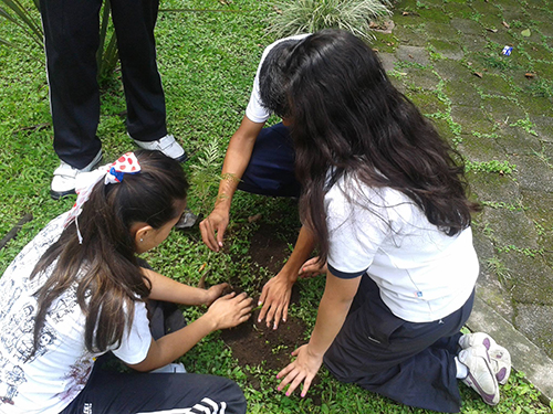 accion-comunitaria