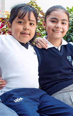 primaria-bil